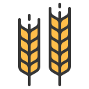 Barley-based Drinks