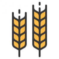 Barley-based Drinks in Canada