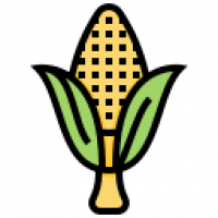 Maize - Corn Drinks in United Kingdom